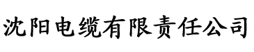 草莓视频在线看污电缆厂logo